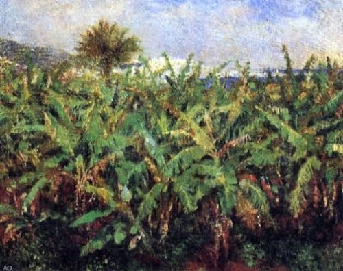 Art Oyster Pierre Auguste Renoir Field of Banana Trees -
