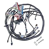 Standalone LS Swap Wiring Harness for GM LS1 Vortec 4.8L 5.3L 6.0L (1997-2006), DBC, Fits 4L60E/4L80E, Red/Blue PCM Compatible, Drive-by-Cable LS Engine Wiring Harness