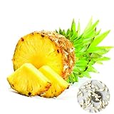 Samen zum Bepflanzen, 100 Stück Ananas-Samen, süße, saftige Früchte, köstliche Pflanzen, Garten, Hof, Dachdekoration – Ananas-Samen.