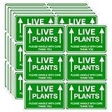 60PCS Green Live Plants Stickers for Shipping,Fragile Live Plants Stickers Waterproof,Please Handle with Care Shipping Labels for Garden,Nurseries,Business(2'x3')