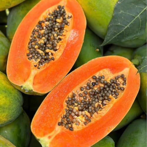 The Ultimate Guide To Growing The Best Papayas In Zone 9a Gardens