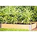 Produktbild BURI 20 Stück Aufsatzrahmen Hochbeet-Rahmen 120x80cm Palettenrahmen Frühbeet Pflanzbeet Gartenbeet stapelbar