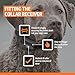 SportDOG Brand NoBark 10 Collar, Dog Bark Collars, Rechargeable, Programmable Bark Collar, Silent Partner Technology, Two Modes of Operation, Waterproof Collar (Black)