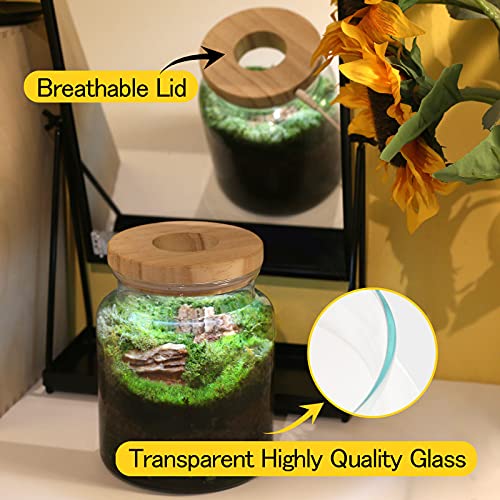Lecani Plant Propagation Station With Led Plant Light And Wooden Lid, 5.4"D×6.5"H, Desktop Glass Terrarium Containers For Plants Succulent And Air Planter, Office Home Decoration, Plant Lovers Gifts #TOP2