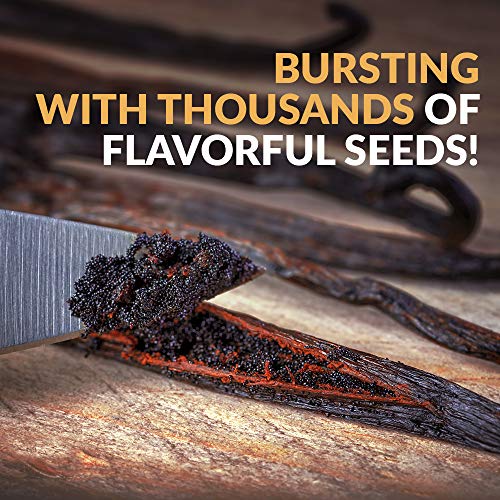 Villa Vainilla Pure Mexican Vanilla Beans (15 whole vanilla beans) - Thumbnail 6