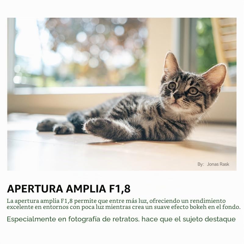 TTArtisan AF 35 mm F1.8 II Lente Enfoque automático Marco APS-C para cámaras con Montura FX-A1 X-A10 X-M1 X-T1 X-T10 X-T100 X-PR01 X-PR03 X-E1 X-E2S X-E4 XS10 XS20 y más. (Negro)