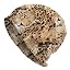Leopard Pattern