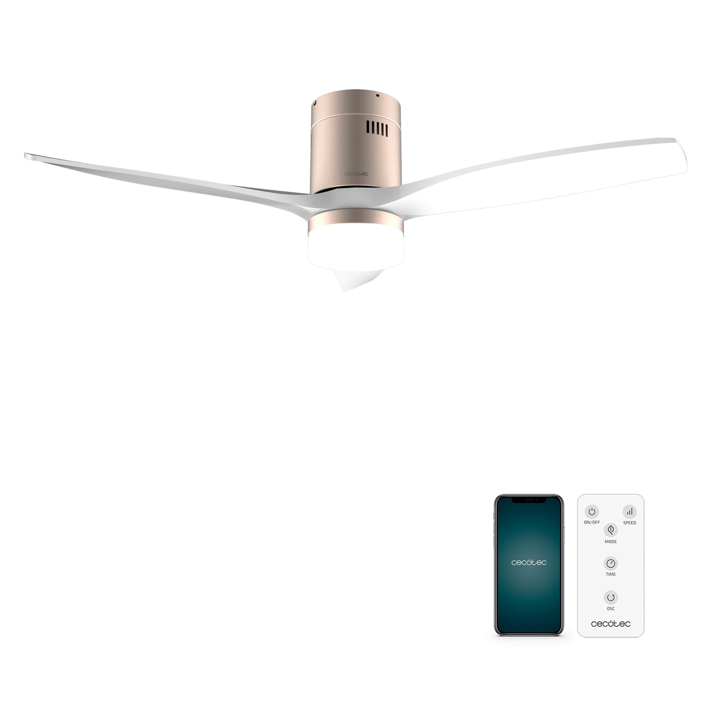Dorato | Bianco