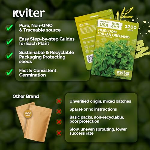 KVITER 1200 Italian Oregano Seeds for Planting (Origanum vulgare) - Majoram, Perennial Pizza Herb, Spicy Flavor Perfect Fresh & Dried - Non GMO & Heirloom Herb Seeds for Outdoor & Indoor Garden, Pots - Image 5