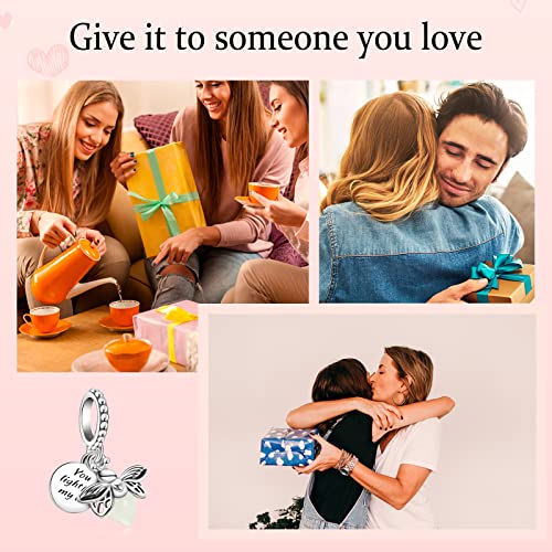 Mitsoku 925 Sterling Silver Charms For Bracelets Necklaces Glow-In-The-Dark Firefly Dangle Pendants Beads, Charms Jewelry Gift For Women Girls #TOP5