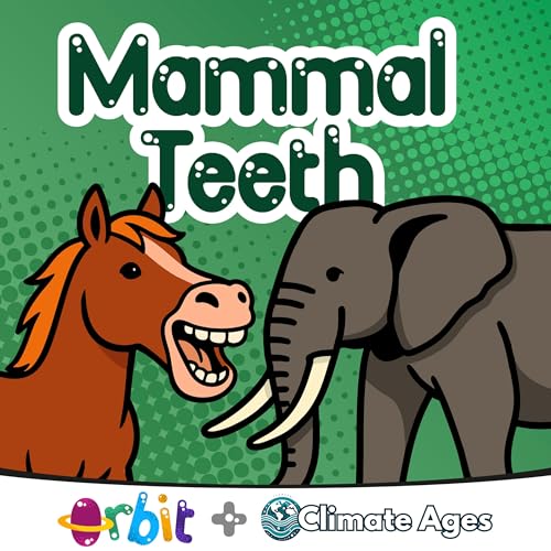 Mammal teeth: Elephants, whales, humans and more!