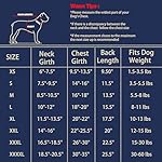 Chic Ion Polyester Dog Vest: Adorable Fashion Dog Apparel for Small, Medium, and Large Breeds, Moisture-Wicking, Soft, Anti-Static, Durable, and Easy-to-Clean Design Dog Shirt Light Blue M - Image 3