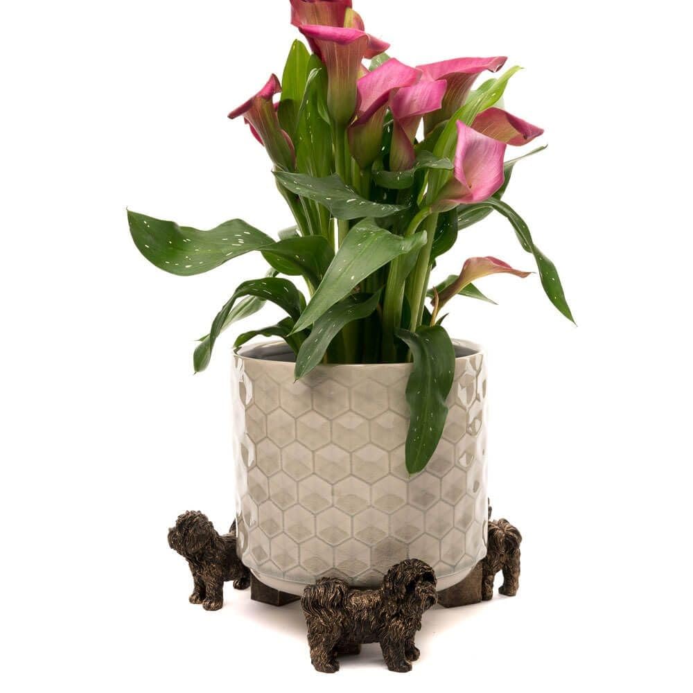 Potty Feet Blumentopffüße Mit Weimaraner-Motiv | 3 Stück, Bronzefarben | Frostsicher, Für Innen & Außen