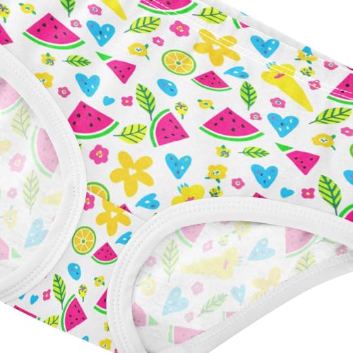 Girls' Underwear Fruit Watermelon Flowers Floral Toddle Brief Panties 23020004