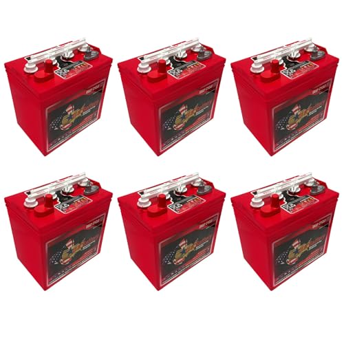 US Battery US8VGC T875 8 Volt, 170 AH Deep Cycle