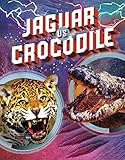 Jaguar vs Crocodile (Predator vs Predator)
