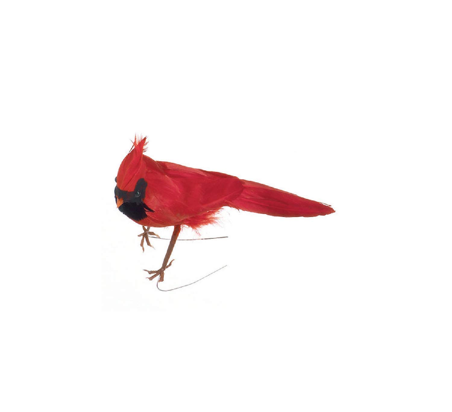 Cardinal à plumes rouge pour sublimer votre sapin de Noël et vos tables de fête