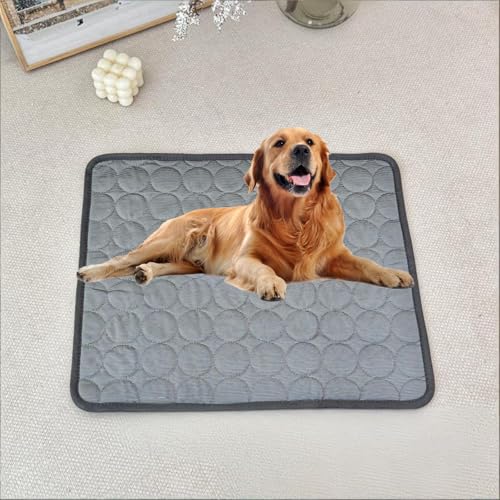 �y�b�g�N�b�V�������}�b�g�\�t�g�ʋC���􂦂�z�M���n�������K �_�[�N�O���[ 59"×39"