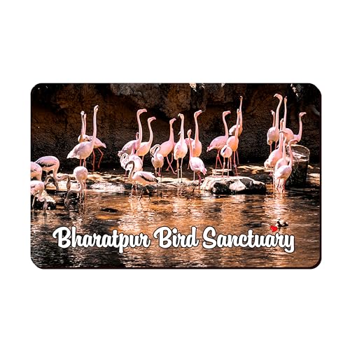 Image of Elegant Fridge Magnet with Themes |Rectangular Size Refrigerator Magnet with Magnetic Rubber Back | Pack of 1, 8.6cm X 5.4cm (Bharatpur Bird Sanctuary)