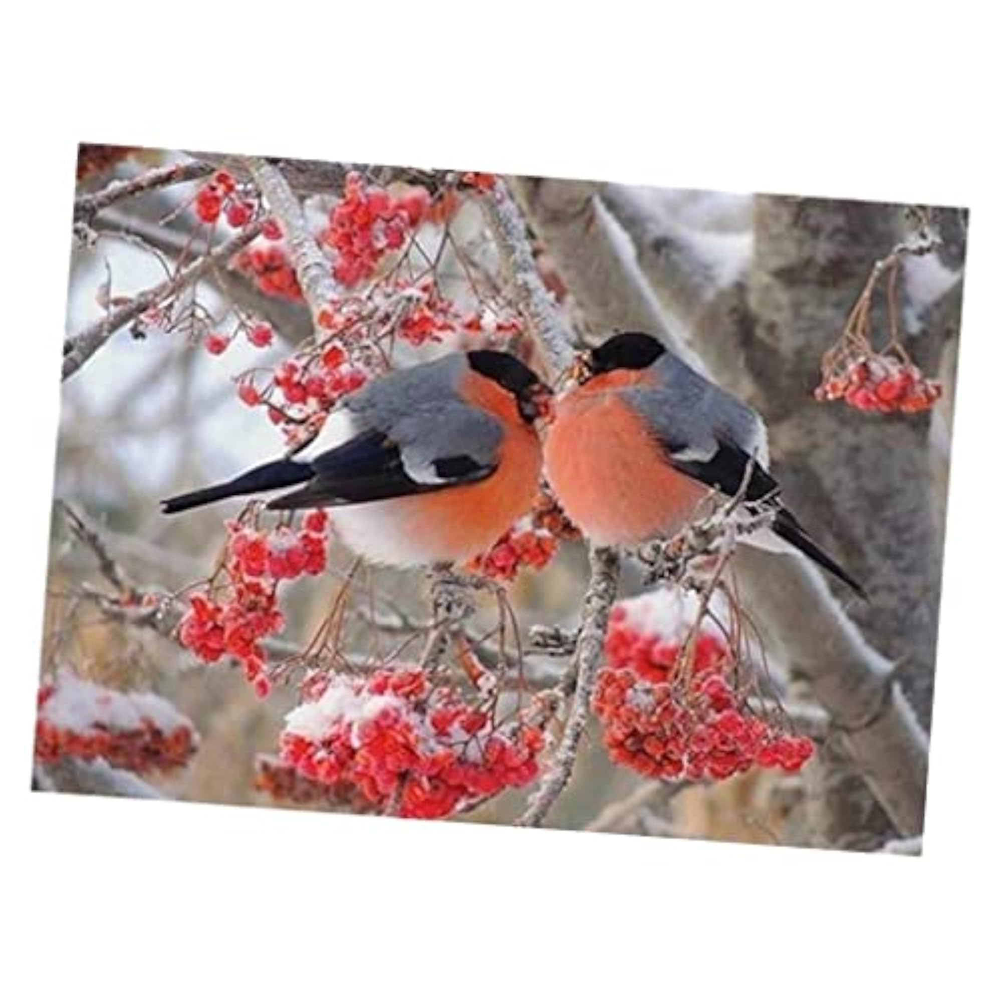 DIY 5D Diamond Painting Embroidery Stitch Kit Bird