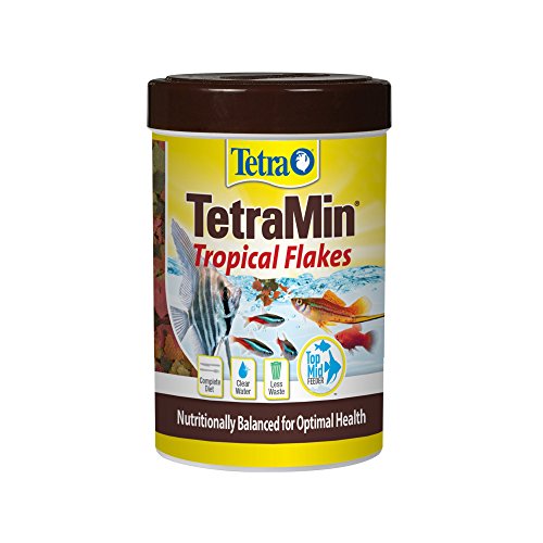 Tetra TetraMin Tropical Flakes 1 Ounce, Nutritionally Balanced Fish Food, Model:77102