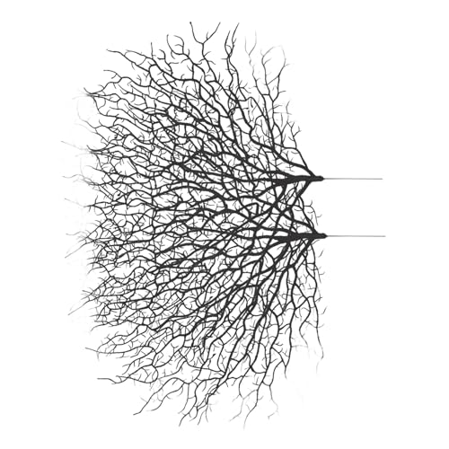 TOPPERFUN Ramas Artificiales De Coral 2 Unidades Tamaño Mediano Plástico Negro Decoración Realista Sin Mantenimiento para Manualidades y Relleno De Jarrones