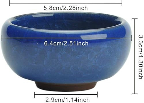 Miniatura 2 de My Decor - Maceta para suculentas, 12 piezas de cerámica de 2.5 pulgadas, maceta de cactus con grietas de hielo, maceta, contenedor, maceta