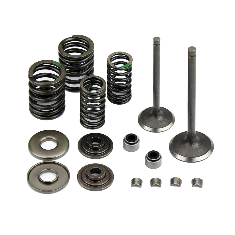 YANHAO Gruppo valvola for Yamaha Majesty YP250 Linhai ATV Scooter 250 300