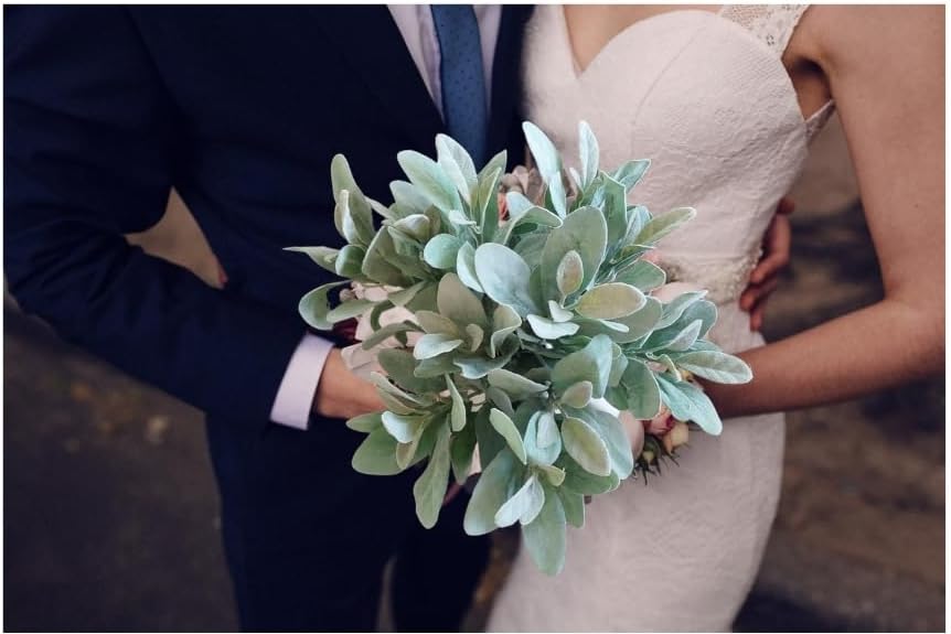 Logsonwi Artificial Lambs Ear Stems - Lambs Ear Greenery for Centerpieces, Garland, or Wreath - 14 in Artificial Greenery Stems w/Flexible Wire - Realistic Greenery Decor, 12 pcs Family Owned Brand - Image 3