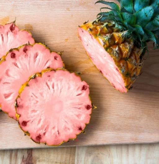 Miniatura 2 de Dichondra 100 semillas de fruta de piña rosa