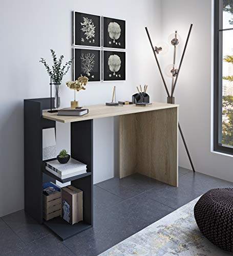 Home Heavenly® - Escritorio Tokio, Mesa Escritorio Minimalista. Mesa de Oficina Moderna Industrial. Mueble multifunción con estantería Cover