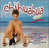 chihuahuas  Chiuahua Compilation