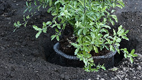 Digger's Root Guard Speed Baskets líquido 2 gal 2 pzas miniatura 5