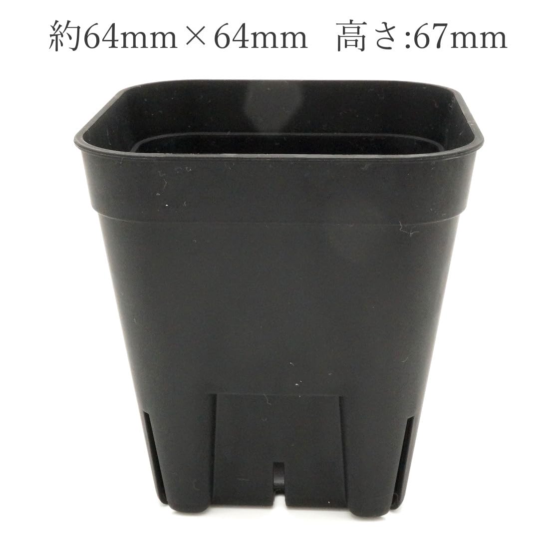 Amazon.co.jp: プレステラ75【108個セット】2号鉢 スリット入り プラ鉢