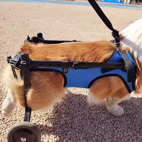 Fauteuil roulant réglable pour pattes arrières de chien Taille S