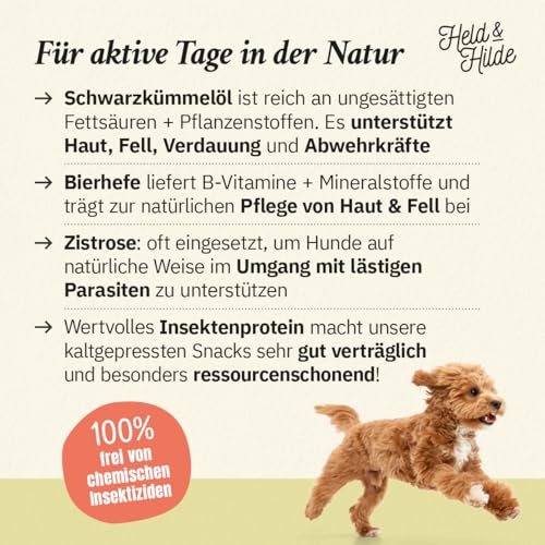 Hundesnacks zur Unterstützung der Abwehrkräfte in der Natur, Schwarzkümmelöl Kokosöl Bierhefe Zistrosenkraut Insektenprotein, nachhaltig ohne künstliche Zusätze Made in Germany, 330g