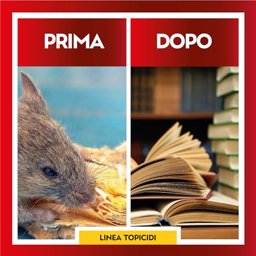 Albagarden - Trappola Per Topi Grande + Picciola - Haccp Per Disinfestazione Ratti - Porta Esche Per Veleno - Plastica Dura Professionale Per Roditori - 2 Trappole - 5
