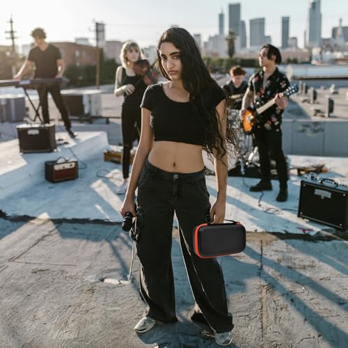 Boobowl Bluetooth Mikrofon Tasche Kompatibel mit JBL PartyBox Wireless Mic J2X Digitalmikrofone, tragbare Mic Box für wiederaufladbare Batterie, Empfänger, Adapter (nur Tasche) (Schwarz)