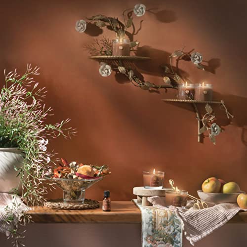 Aromatique Cinnamon Cider Textured Glass Candle 6Oz - Decorative Home Fragrance Aromatherapy Long Lasting Room Air Freshener Deodorizer Perfect Fall Decoration Luxury Glass Candle Gift 40 Hour Burn! #TOP2