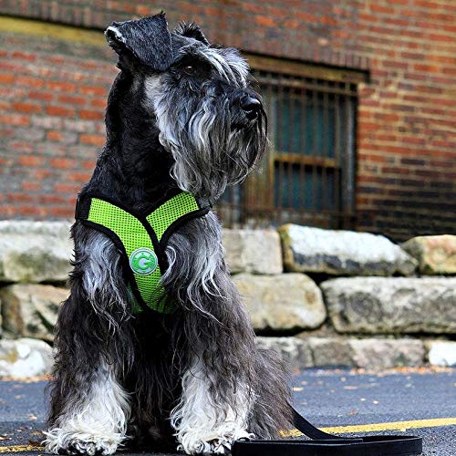 Gooby Comfort X Step-in-Geschirr, Erstickungsfrei, kleines Hundegeschirr mit Mikro-Wildlederbesatz und patentiertem X-Rahmen, Blau, Größe XL