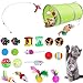 YATG Katzenspielzeug,Das 21PCS Interactive Kitten Toys-Set enthält einen 2-Wege-Tunnel, Katzenminzenspielzeug,einen Katzenfeder-Teaser-Stick, eine künstliche Maus,einen Faltenball, Verschiedene Bälle