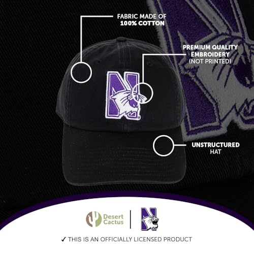Desert Cactus Northwestern University Baseball Hat miniatura 4