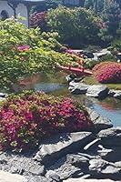 Noteboo: Japanese Garden Zen Notebook, Planners and Diaries to Write in, Blank Dotted, Japanes Garden Zen Notebooks, 120 Pages : This Notebook Belongs to ... Who Known the Beauty of a Japanese Garden 1657971317 Book Cover