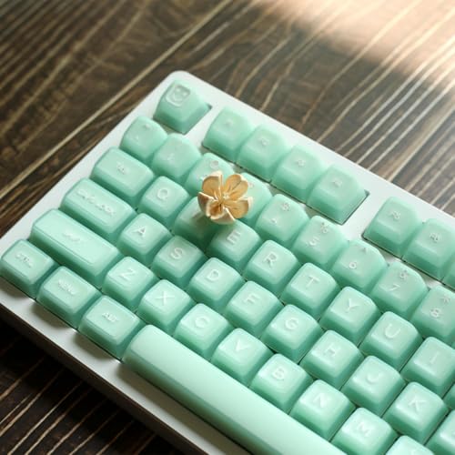Image of 142 Keys SA Profile Light Green Keycaps PBT Doubleshot Translucent Keycaps Set Fit for 61 /64 /87 /104 /108 Cherry Mx Switches ISO ANSI Mechanical Keyboars Alice Keyboard