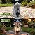 Solar Garden Outdoor Dog Statues - Garden Decorations Dogs Statue with Lantern, Waterproof Led Lights Yard Decor Figurine Birthday Gifts for Women Mom Grandma Dog Lovers for Patio Balcony Lawn