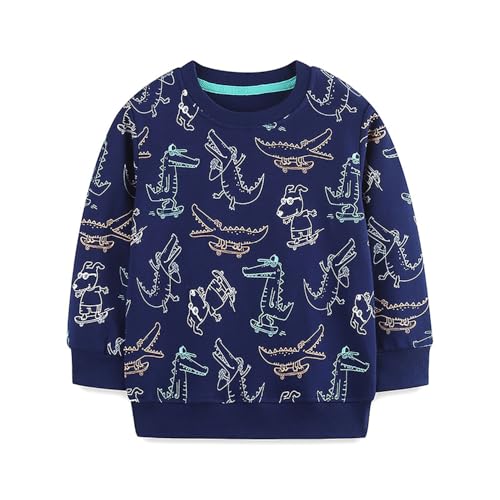 Boys Sweatshirts Casual Sweatshirts Cotton Sweatshirts Long Sleeve T-shirts Crew Neck Cartoon Tops for Boys-302