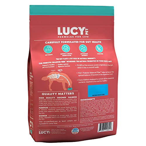 Lucy Pet Formulas for Life Salmon, Pumpkin, & Quinoa Dry Dog Food, All Breeds & Life Stages, Digestive Health, Sensitive… - Image 2