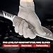 GOL-SIV ANSI A9 Cut Resistant Stainless Steel Metal Mesh Chain Mail Glove,Butchers Gloves Food Grade For Kitchen Cooking, Oyster Shucking, Glass Processing, Tool Sharpening, 5 Finger, (M)