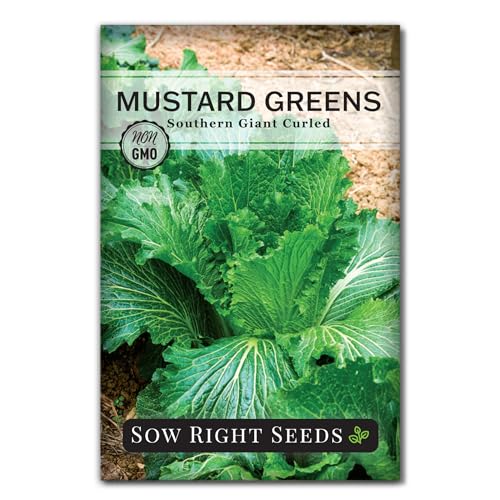 Sow Right Seeds - Southern Giant Curled Mustard Greens Seeds for Planting - Heirloom Variety - Grow Non-GMO Greens at Home - Ideal for Gardens Raised Beds Containers - Outdoors or Hydroponics (1)