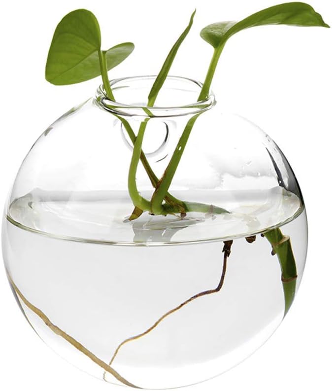 WDDH Creative Acrylic Wall Hanging Aquarium Mounted Fish